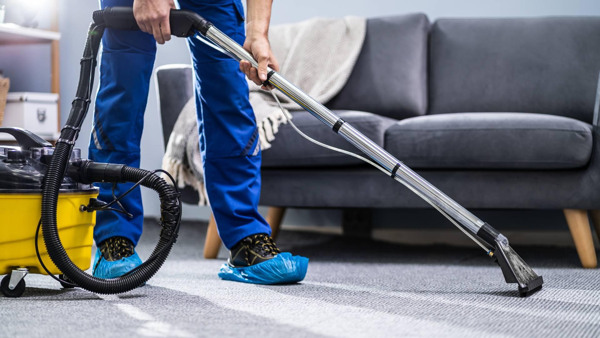 Professional carpet cleaning team performing deep extraction